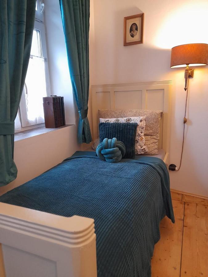 Zlata Leta - Apartmanovy Dum Jáchymov Zewnętrze zdjęcie