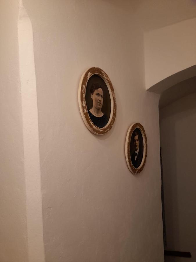 Zlata Leta - Apartmanovy Dum Jáchymov Zewnętrze zdjęcie