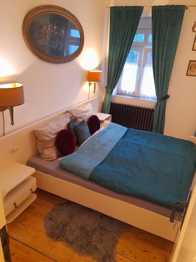 Zlata Leta - Apartmanovy Dum Jáchymov Zewnętrze zdjęcie